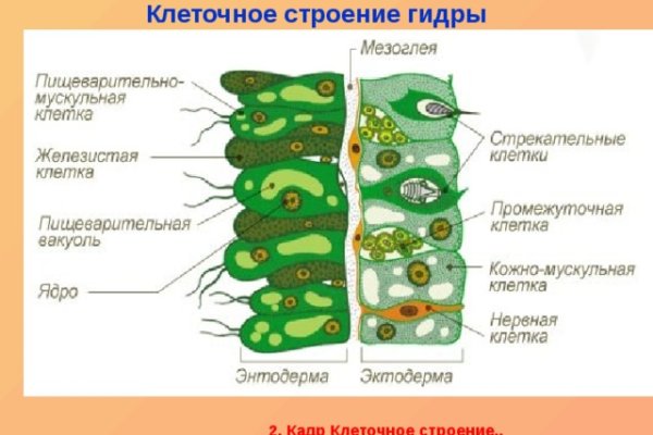 Зеркало омг омг омг